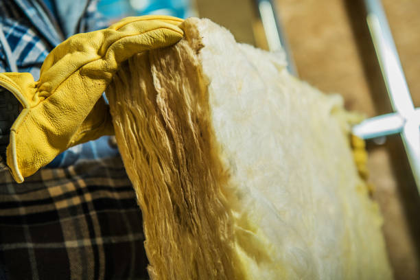 Best Energy Efficiency Insulation in Mayo, MD
