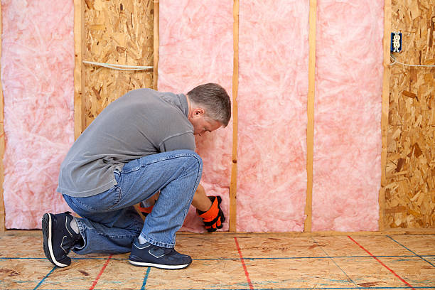 Types of Insulation We Offer in Mayo, MD