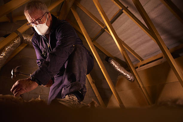 Professional Insulation Contractor in Mayo, MD